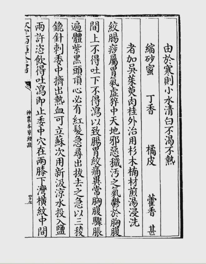 徐凡：一瓶盐汽水的时光回溯(图5)